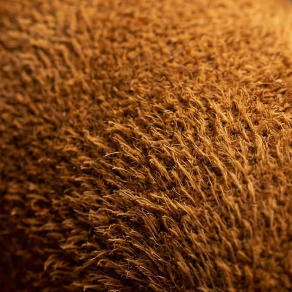 Kategori Ruskind (1)