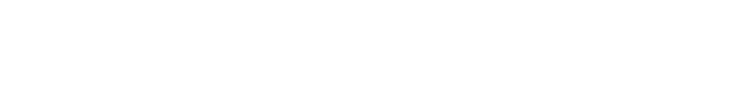 Bagfocus_logo_simple_hvid (1)