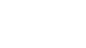 Bagfocus_logo_simple_hvid (1)