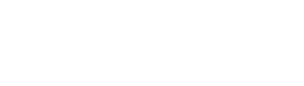Seddys Logo White